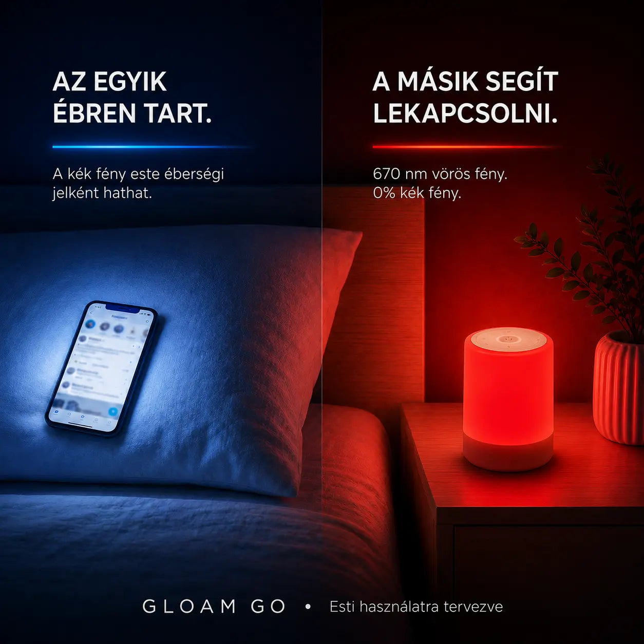 GLOAM Go